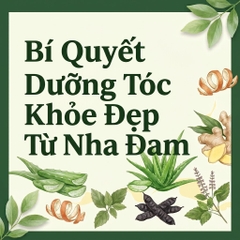 Bí Quyết Dưỡng Tóc Khỏe Đẹp Từ Nha Đam