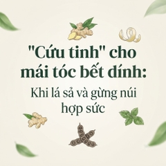 Cứu tinh cho mái tóc bết dính: Khi lá sả và gừng núi hợp sức