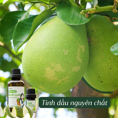 Tinh Dầu Bưởi Nguyên Chất Epis