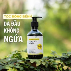 Dầu gội thảo dược Gừng núi bồ kết Epis