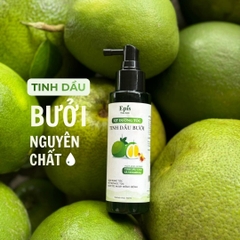 Combo Chăm tóc từ gốc (Dầu gội Gừng núi 500ml + kem xả 250g+ xịt bưởi 100ml)