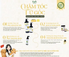 Combo Chăm tóc từ gốc (Dầu gội Gừng núi 500ml + kem xả 250g+ xịt bưởi 100ml)