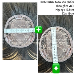 Mái Phủ Tóc Giả MP01 40cm