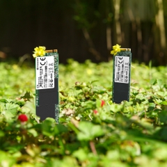 SSD gắn trong Transcend SSD110S 512GB M.2 2280 PCIe Gen3 x4 NVMe upto 1600MB/s TS512GMTE110S - Bảo hành 5 năm