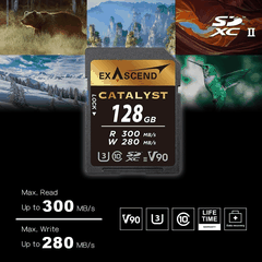 Thẻ Nhớ SDXC Exascend Catalyst 256GB C10 U3 V90 UHS-II SD upto 300MB/s EX256GSDU2 - Bảo hành 5 năm