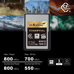 Thẻ Nhớ CFexpress Type A Exascend Essential 240GB upto 800MB/s EXPC3EA240GB - Bảo hành 5 năm