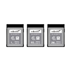 Thẻ Nhớ CFexpress Type B Exascend Element 256GB PCIe 3.0 upto 1800MB/s EXPC3S256GB - Bảo hành 3 năm