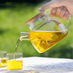 Ấm thủy tinh GPH20