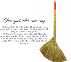 Chổi cỏ cán cây