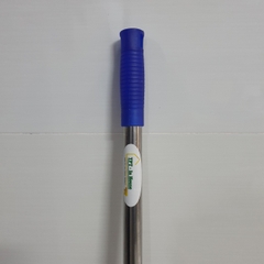 Cây lau bẹ công nghiệp san hô