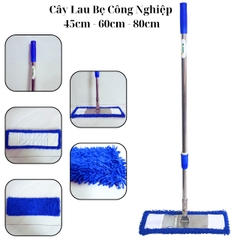 Cây lau bẹ công nghiệp san hô