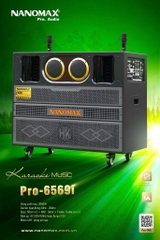 Loa Kéo Bình & Điện Nanomax Pro-6569i Bass Đôi 50cm 3050w