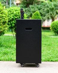 Loa Kéo Nanomax VN-09 bass 40cm
