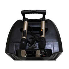 Loa Ronamax T15A