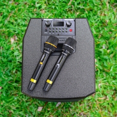 Loa Karaoke Nanomax X-8 Bass Đôi 20cm 1150w