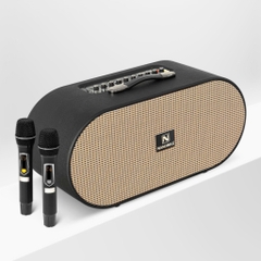 Loa Karaoke Xách Tay Nanomax X-22 Bass Đôi 20cm 380w