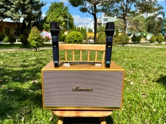 Loa Karaoke Di Động X-210C