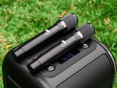 Loa Nanomax D1 bass đôi x 12Cm