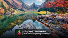 Google Tivi Sony 4K 55 inch K-55S30