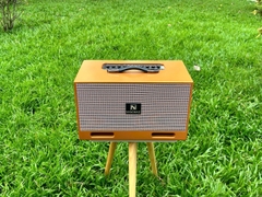 Loa Xách Tay Nanomax X-16 bass 16x2 Công suất 350W