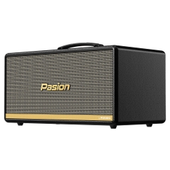 Loa Di Động Xách Tay Paramax Passion 2