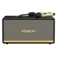 Loa Di Động Xách Tay Paramax Passion 2