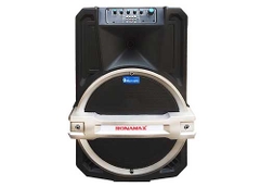 Loa Ronamax T15A