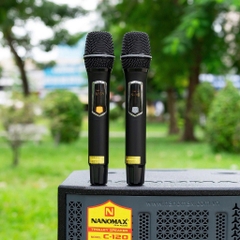Loa Kéo Nanomax C-120 Bass 30cm 480w Karaoke Bluetooth