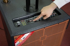 Loa Nhạc Sống DALTON LP110F-115SA