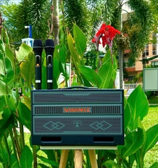 Loa Karaoke Xách Tay Nanomax X-17 Bass Đôi 16cm 320w