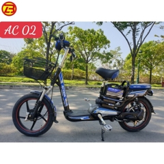 Xe Điện Action AC 02