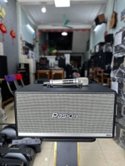 Loa Xách tay Paramax Passion Evo