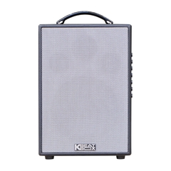 Loa di động Acnos CS121 Mini karaoke bass 20cm, bọc da.