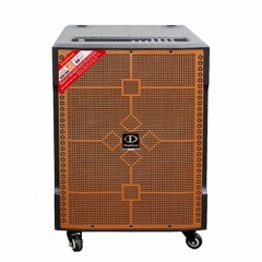 Loa Nhạc Sống DALTON LP110F-115SA