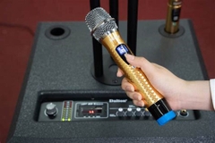 Loa Nhạc Sống DALTON LP110F-115SA