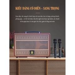 Loa karaoke Best Sound M8, kèm 2 mic không dây