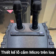 Loa Karaoke Best Sound BD-9080 / Best Sound BD9080 - Gồm 2 micro / Best Sound BD2500 / Best Sound BD-2500