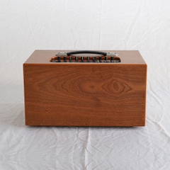 loa xách tay Nanomax X-210A ( Sơn PU)