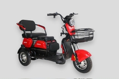 XE ĐIỆN AVA BA BÁNH Z4 ĐỘNG CƠ VISAI 500W