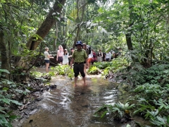 Cuc Phuong National Park 1 Day Exploration Tour
