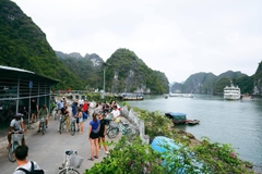 Explore Lan Ha - Ha Long Bay 2 Days 1 Night | Daiichi Luxury Cruise