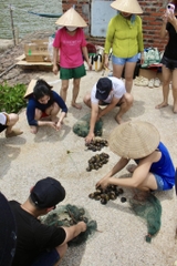 Cat Ba Mangrove Forest One-Day Tour