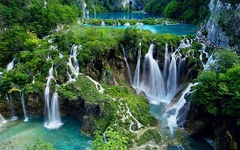 Tour Moc Chau - Ta Xua | 2 days 1 night From Ha Noi