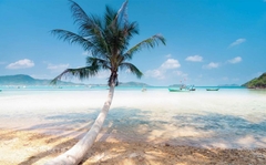 Discover The North – Kayaking – Starfish Beach – National Park – Grand World by Daiichi Travel