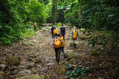 Ninh Binh - Cuc Phuong National Park 2 Days 1 Night