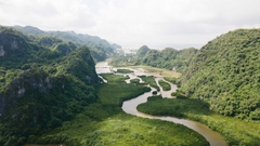 Cat Ba Mangrove Forest One-Day Tour
