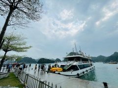 Lan Ha Bay full day tour - Cat Ba Dream Cruise 5-star
