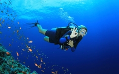 Xuong Island (Mong Tay island) & May Rut Trong Island by Daiichi Travel