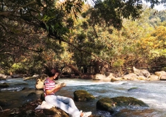 Quang Binh Tour 2 Days 1 Night: Discover Phong Nha – Ke Bang National Park