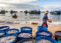 3 ISLANDS TOUR: Hon Mun - The Fishing Village - Mini Beach (lunch included)